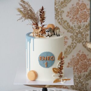 Birthday cake ծծնդյան մանակական տորթ